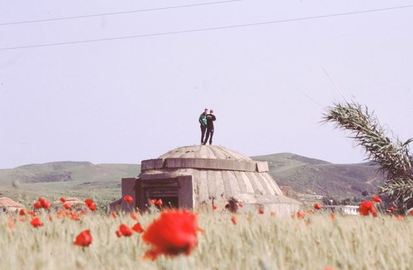 Die Zukunft der Vergangenheit: Erinnerungskultur in Albanien und Deutschland - zwischen Aufarbeitung und Schlussstrichdenken 